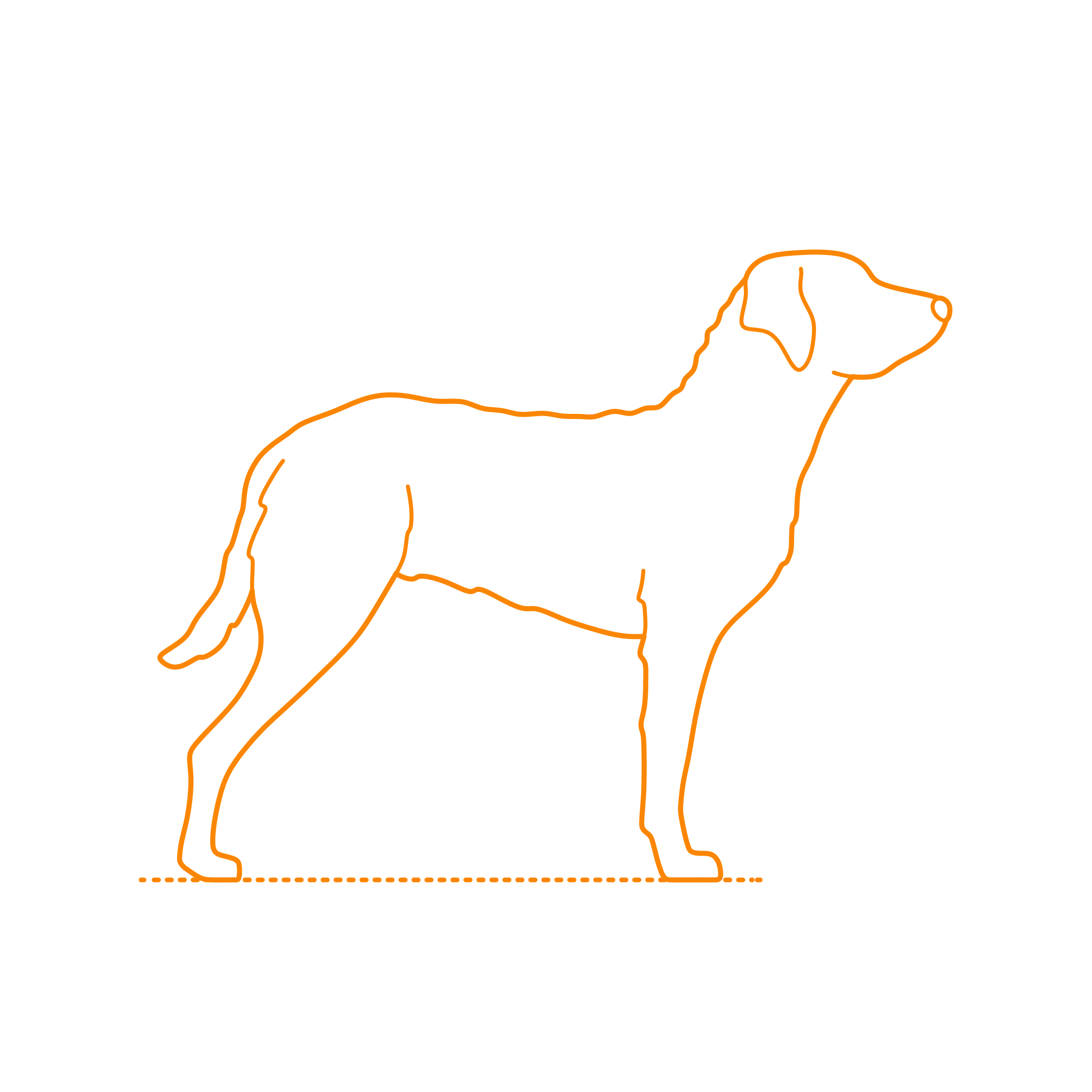 Animals Dogs Chesapeake Bay Retriever Stencil Svg Vector Free Vectors